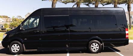 Wine Tasting in a luxery van